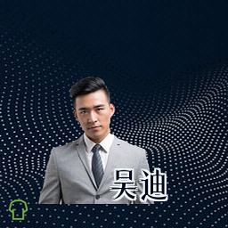 吴迪